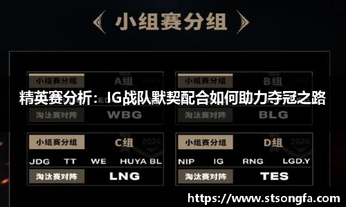 精英赛分析：IG战队默契配合如何助力夺冠之路