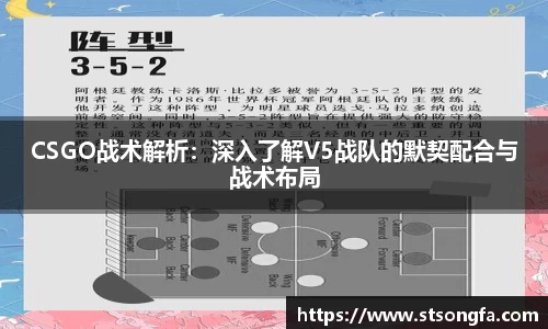 CSGO战术解析：深入了解V5战队的默契配合与战术布局