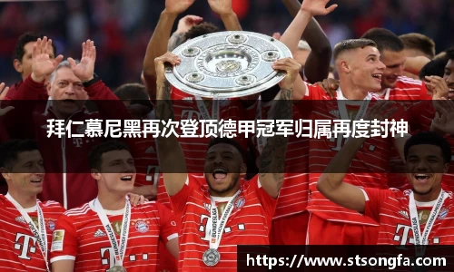 完美体育登录入口