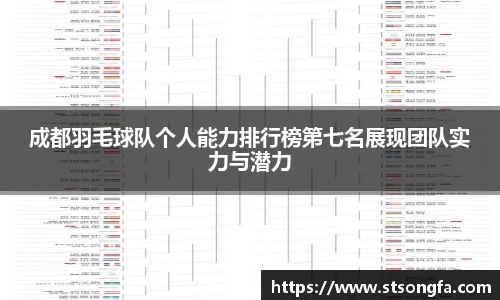 成都羽毛球队个人能力排行榜第七名展现团队实力与潜力
