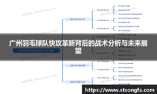 广州羽毛球队快攻革新背后的战术分析与未来展望