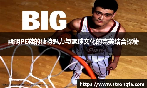 姚明PE鞋的独特魅力与篮球文化的完美结合探秘