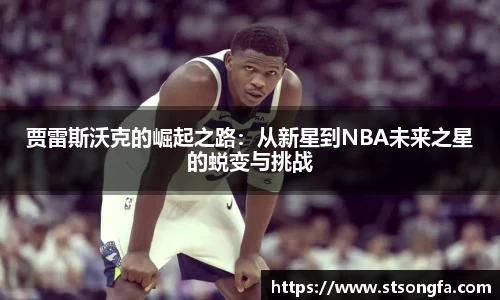 完美体育登录入口
